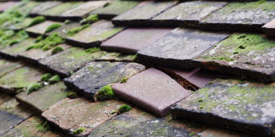 Ironbridge roof repair costs